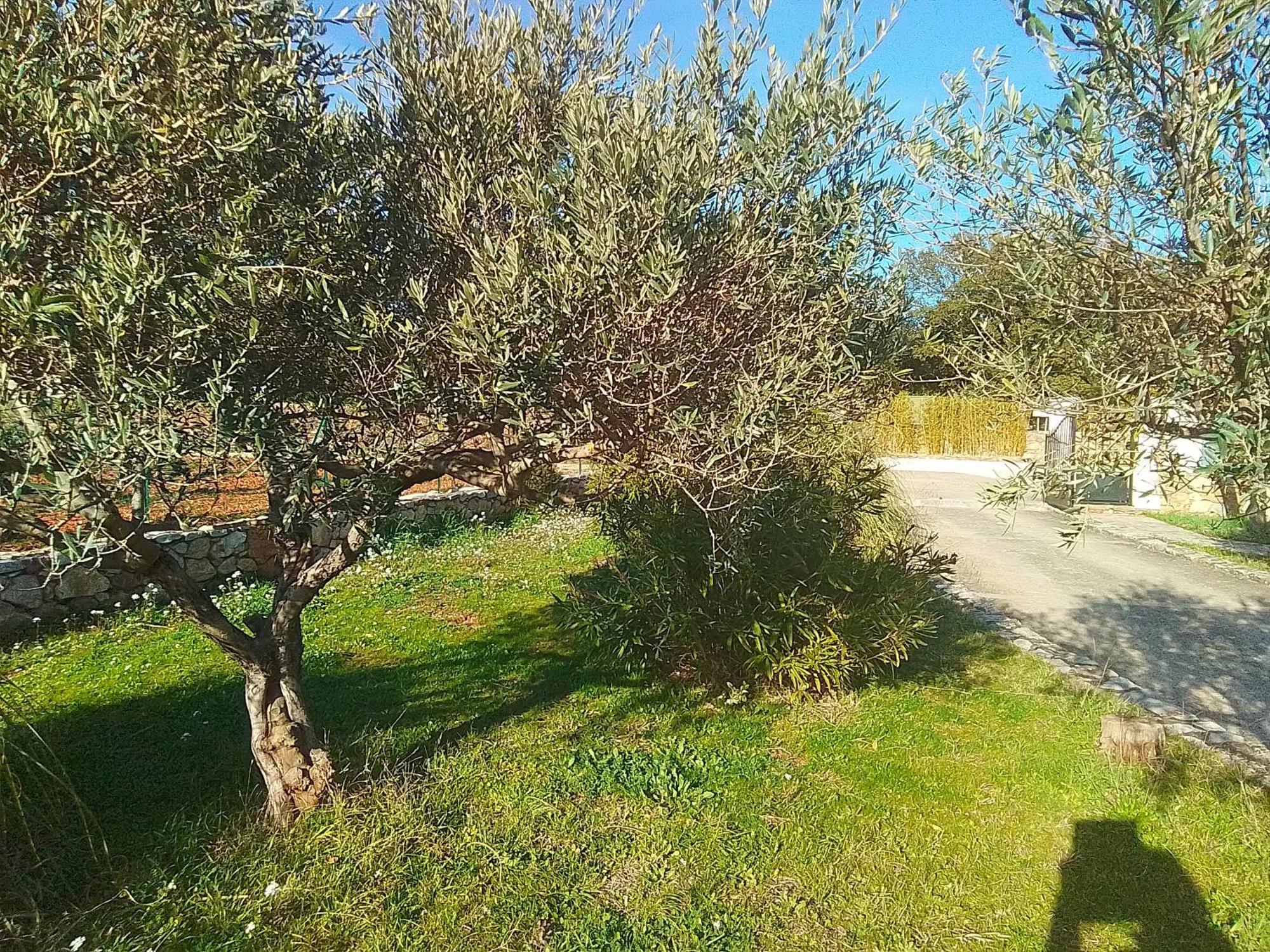 Cotignac Sejour Vacances מראה חיצוני תמונה